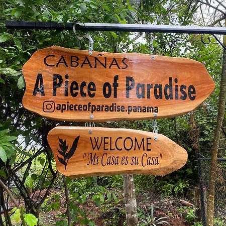 A Piece Of Paradise Сан Карлос Екстериор снимка